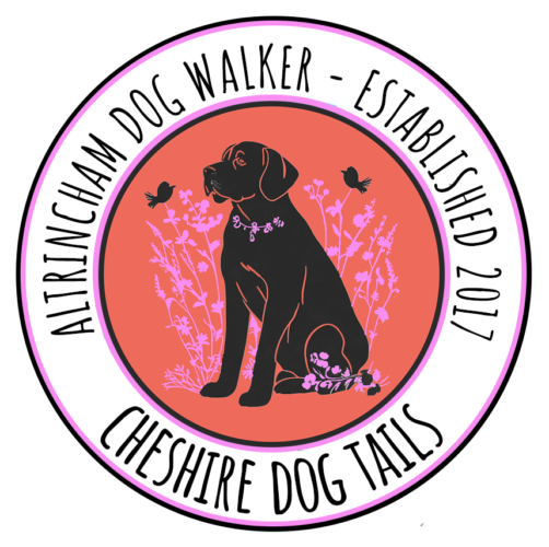 Cheshire Dog Tails Altrincham Dog Walker